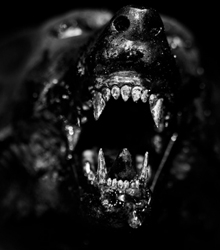 ‘En la boca del lobo’, de Nicoleta Lupu, en el Instituto Cultural Rumano