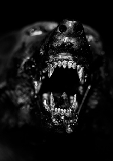 ‘En la boca del lobo’, de Nicoleta Lupu, en el Instituto Cultural Rumano