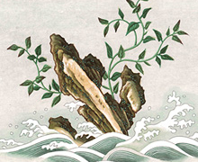 El Real Jardín Botánico presenta la exposición ‘Entre Manila y Cantón’