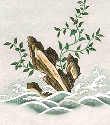 El Real Jardín Botánico presenta la exposición ‘Entre Manila y Cantón’