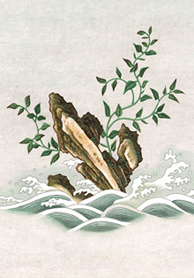 El Real Jardín Botánico presenta la exposición ‘Entre Manila y Cantón’