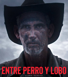 Casa América preestrena ‘Entre perro y lobo’, de Irene Gutiérrez