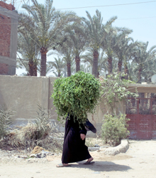 Casa Árabe presenta la muestra ‘Fábulas y banderas evanescentes’