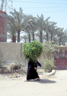 Casa Árabe presenta la muestra ‘Fábulas y banderas evanescentes’