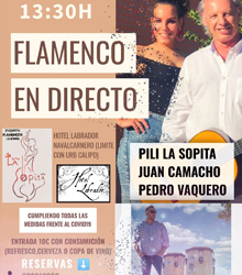 Flamenco, rumbas y sevillanas con la cantante Pili ‘La Sopita’