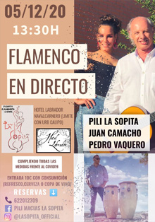 Flamenco, rumbas y sevillanas con la cantante Pili ‘La Sopita’