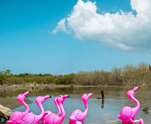 Exposición virtual sobre ‘La Era Plasteozoica: una eco-distopía animada’