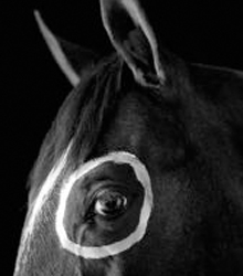 Casa de México expone la obra fotográfica de Flor Garduño