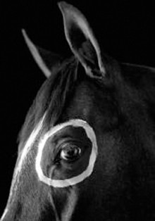 Casa de México expone la obra fotográfica de Flor Garduño