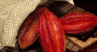 República Dominicana en el Salón Internacional del Chocolate de Madrid