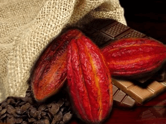 República Dominicana en el Salón Internacional del Chocolate de Madrid