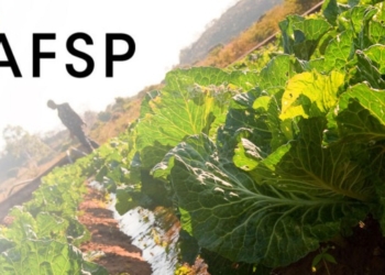 España aporta cinco millones de euros al fondo global para seguridad alimentaria