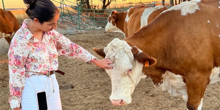 Ganadería Prado Alegre, un proyecto familiar que ha conquistado al «AS de las Carnes”