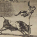 Exposición ‘Goya/Picasso. Tauromaquias’ en la Academia San Fernando