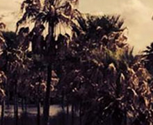 Casa América proyecta la película ‘La Belleza’, de Daniela Seggiaro