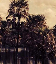 Casa América proyecta la película ‘La Belleza’, de Daniela Seggiaro