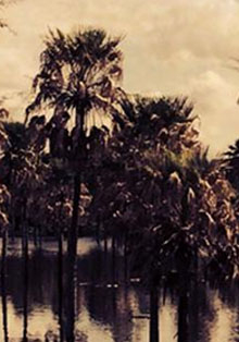 Casa América proyecta la película ‘La Belleza’, de Daniela Seggiaro