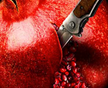 El Teatro de la Zarzuela presenta ‘Granada: La Tempranica y La vida breve’