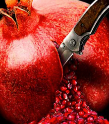 El Teatro de la Zarzuela presenta ‘Granada: La Tempranica y La vida breve’