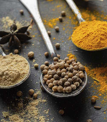 Curso online en Casa Asia sobre la ‘Historia de las especias orientales’