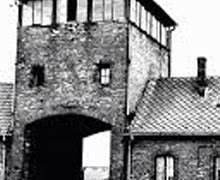 El Senado acoge el Día Oficial de Recuerdo a las Víctimas del Holocausto