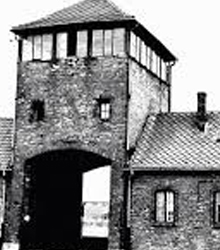 El Senado acoge el Día Oficial de Recuerdo a las Víctimas del Holocausto