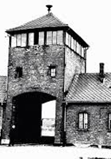 El Senado acoge el Día Oficial de Recuerdo a las Víctimas del Holocausto