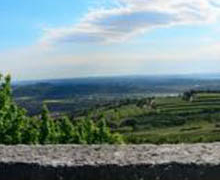 El Instituto Italiano de Cultura y la ‘Filosofia del cibo e del vino’