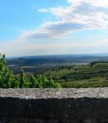 El Instituto Italiano de Cultura y la ‘Filosofia del cibo e del vino’