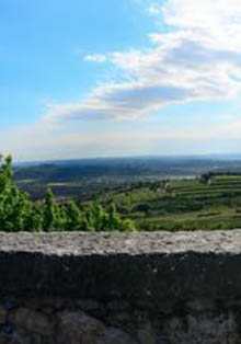 El Instituto Italiano de Cultura y la ‘Filosofia del cibo e del vino’