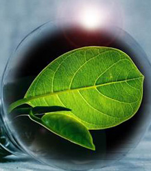 IV Encuentro Hispano-Suizo sobre Innovación en la Transición Energética