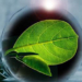 IV Encuentro Hispano-Suizo sobre Innovación en la Transición Energética
