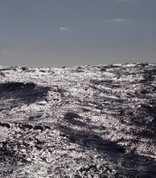 El Instituto Polaco lleva el arte de Janek Zamoyski a Las Palmas de Gran Canaria