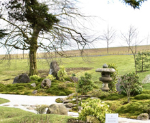 Conferencia online ‘El jardín japonés: sus estilos y conformación’