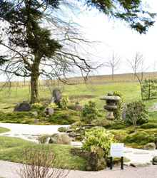Conferencia online ‘El jardín japonés: sus estilos y conformación’