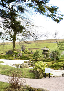 Conferencia online ‘El jardín japonés: sus estilos y conformación’