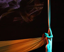 Los domingos de diciembre hay un Jardín Secreto en los Teatros del Canal