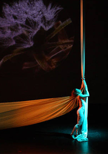 Los domingos de diciembre hay un Jardín Secreto en los Teatros del Canal