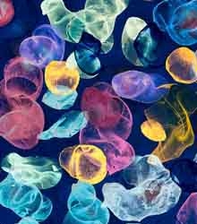 El anticonceptualismo de Jiří Georg Dokoupil llega a la Casa Encendida