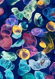 El anticonceptualismo de Jiří Georg Dokoupil llega a la Casa Encendida