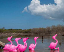 La Embajada Dominicana inaugura la exposición ‘La Era Plasteozoica’