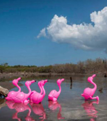 La Embajada Dominicana inaugura la exposición ‘La Era Plasteozoica’