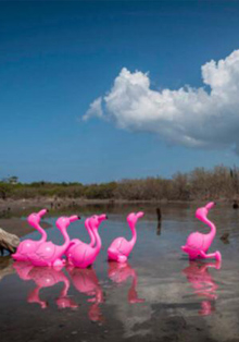 La Embajada Dominicana inaugura la exposición ‘La Era Plasteozoica’