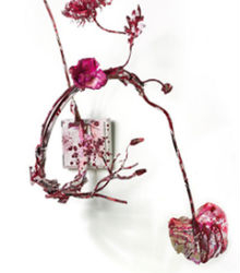 Grandes intérpretes en la sexta temporada de La Filarmónica