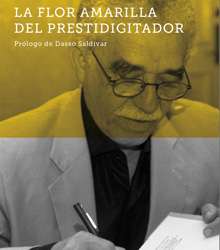 Teatros del Canal: ‘Macho Man’, educación contra la violencia machista