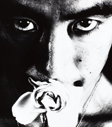 ‘La mirada de las cosas. Fotografía japonesa en torno a Provoke’