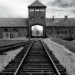 El Centro Sefarad muestra la memoria de Auschwitz-Birkenau en fotos