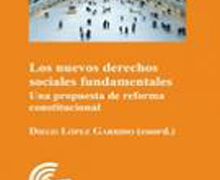 Los nuevos derechos fundamentales: una propuesta de reforma constitucional