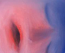 El Museo Reina Sofía presenta el arte de la suiza Miriam Cahn