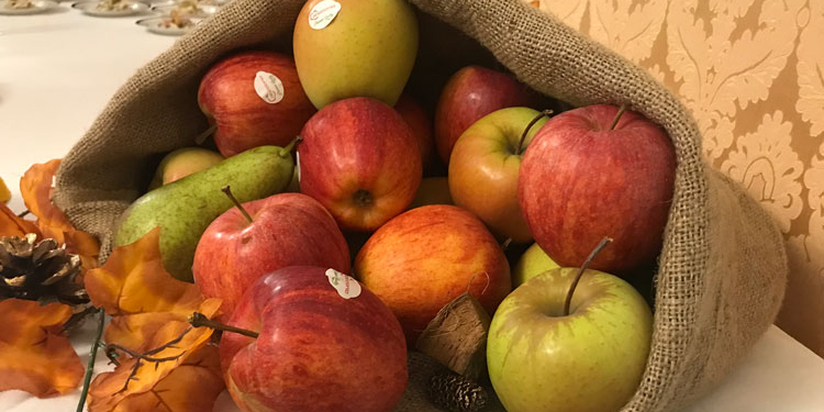 La Embajada de Polonia celebra un año más su Festival de la Manzana